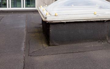 disadvantages of High Worsall flat roofs