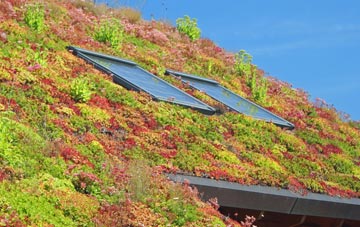 High Worsall living roof systems